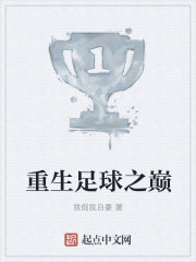 重生足球之巅章节列表