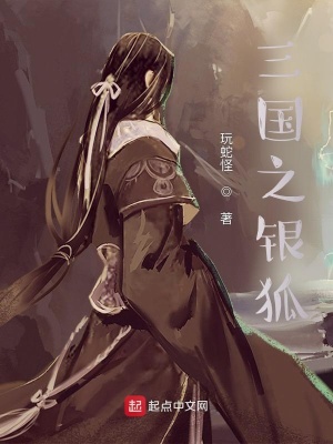 三国之银狐章节列表