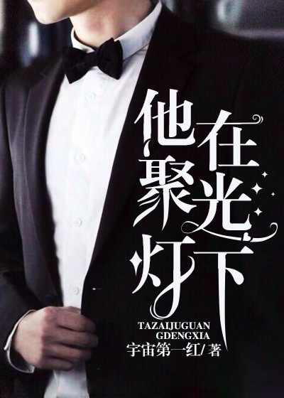 他在聚光灯下章节列表