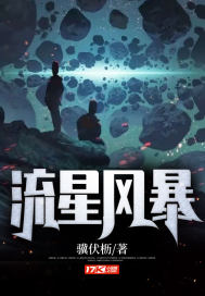 流星风暴章节列表