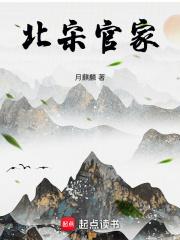 北宋官家章节列表