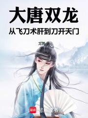大唐双龙：从飞刀术肝到刀开天门章节列表