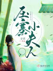 压寨小夫人章节列表