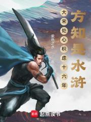 大宋处心积虑十六年，方知是水浒章节列表