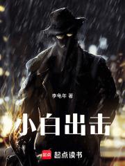 小白出击章节列表