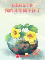 扶贫综艺下乡，我的才华藏不住了章节列表