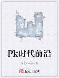 Pk时代前沿章节列表