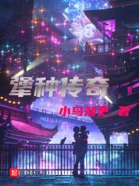 犟种传奇章节列表