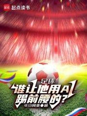 足球：谁让他用AI踢前腰的？章节列表