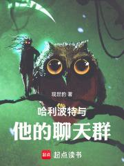 哈利波特不想当巫师，只想水群章节列表