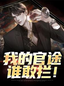 我的官途谁敢拦！章节列表