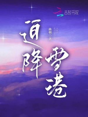 迫降雪港章节列表