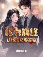 权力巅峰从借调纪委开始章节列表