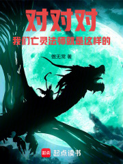 对对对，我们亡灵法师就是这样的章节列表