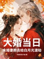 大婚当日，未婚妻跑去给白月光渡劫章节列表