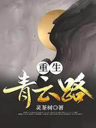 重生官场青云路章节列表