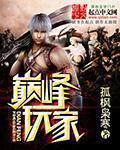 巅峰玩家章节列表