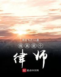 我真是个律师章节列表