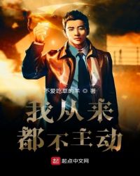 我从来都不主动章节列表