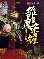 艾格隆雏鹰的荣耀(匂宮出夢)小说章节列表