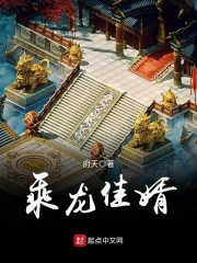 乘龙佳婿章节列表