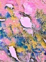 宠妻至上之萧小姐你太狂了章节列表