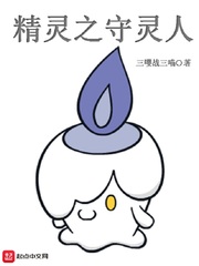 精灵之守灵人章节列表