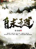 自求吾道章节列表