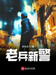 老兵新警章节列表