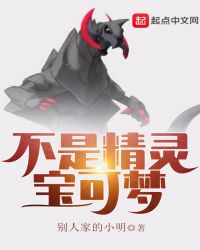 不是精灵宝可梦章节列表