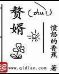 赘婿章节列表