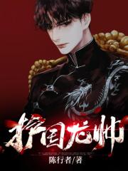 护国龙帅章节列表